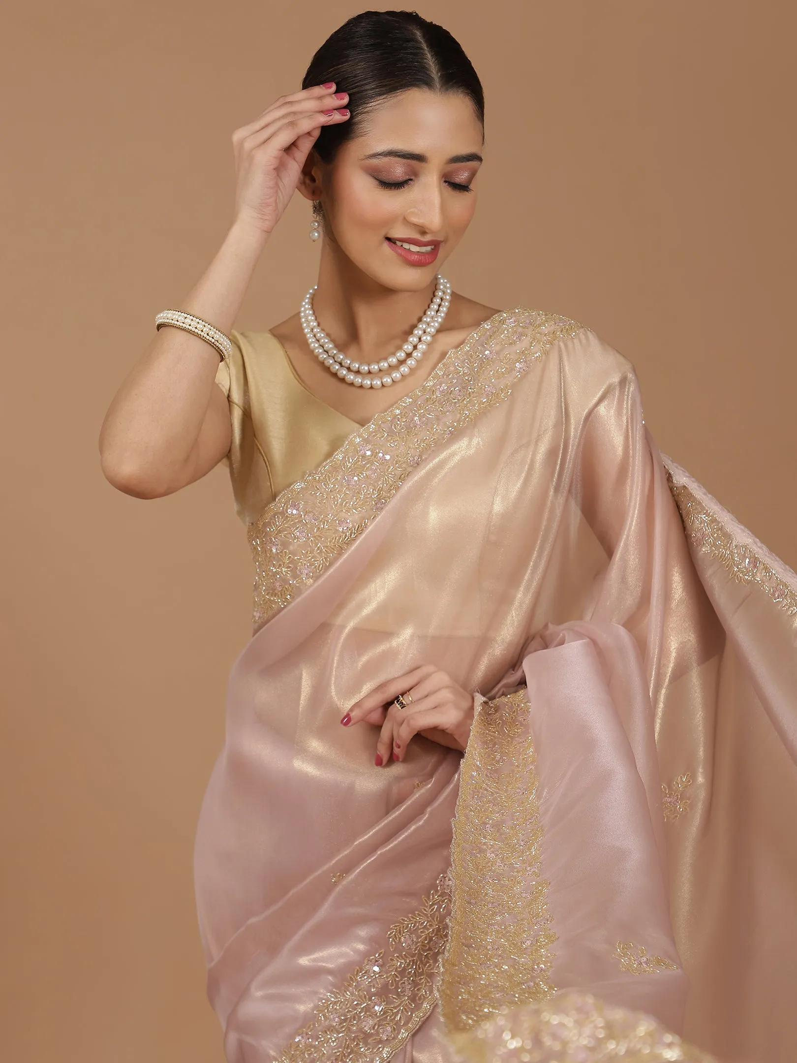 Organza Saree with Embroidered Border