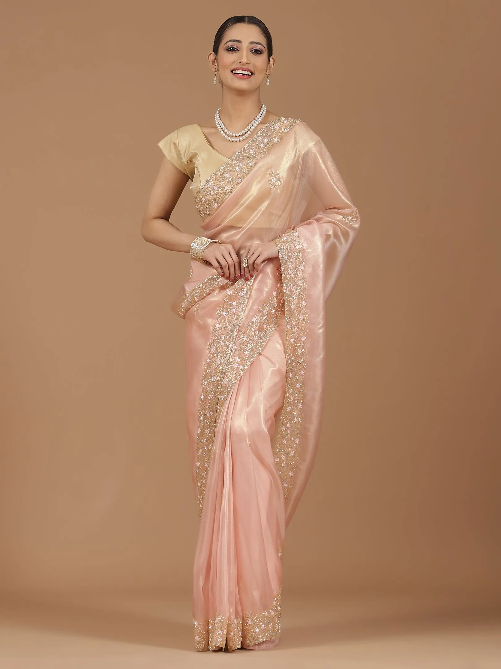 Organza Saree with Embroidered Border