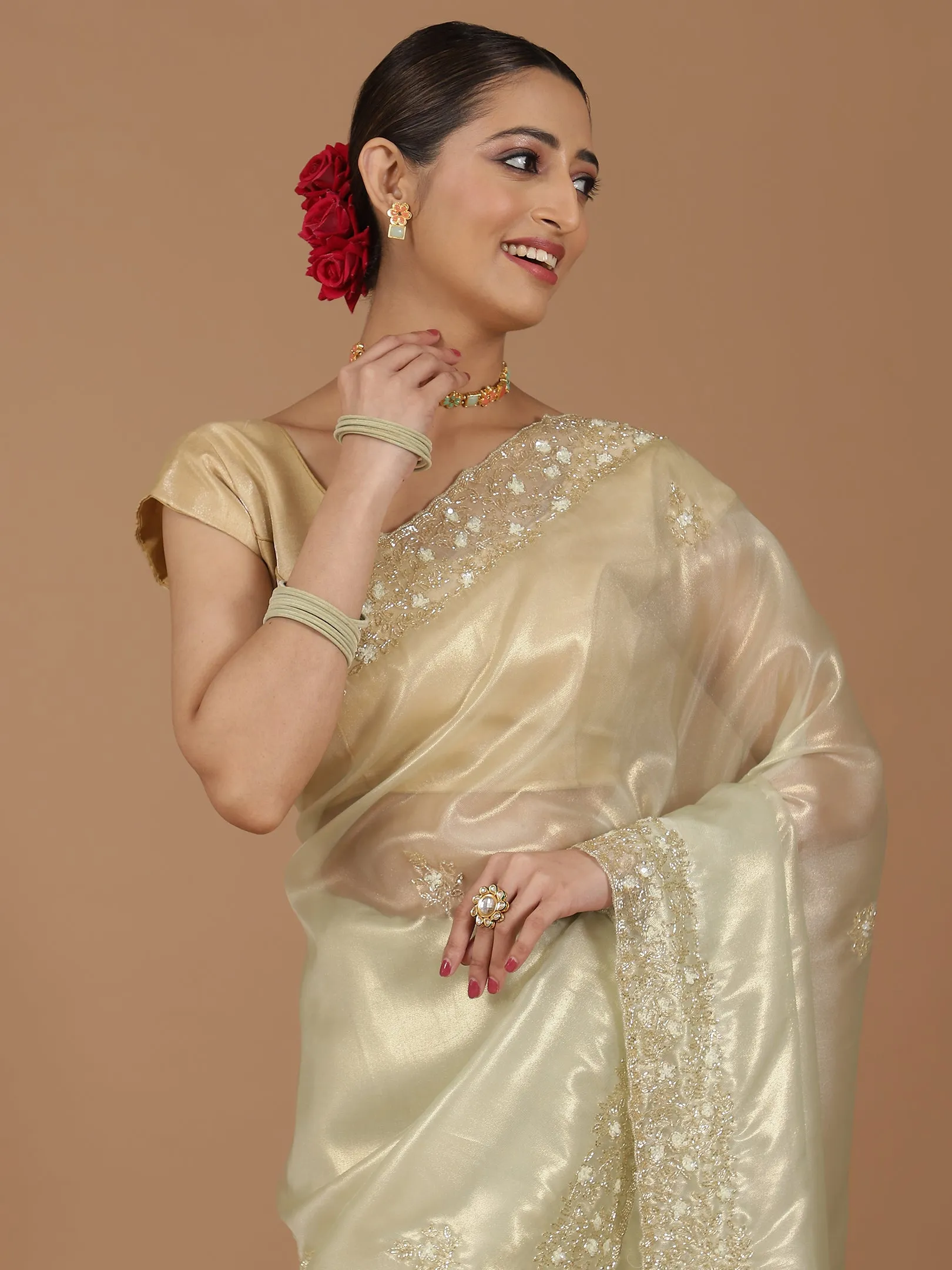 Organza Saree with Embroidered Border