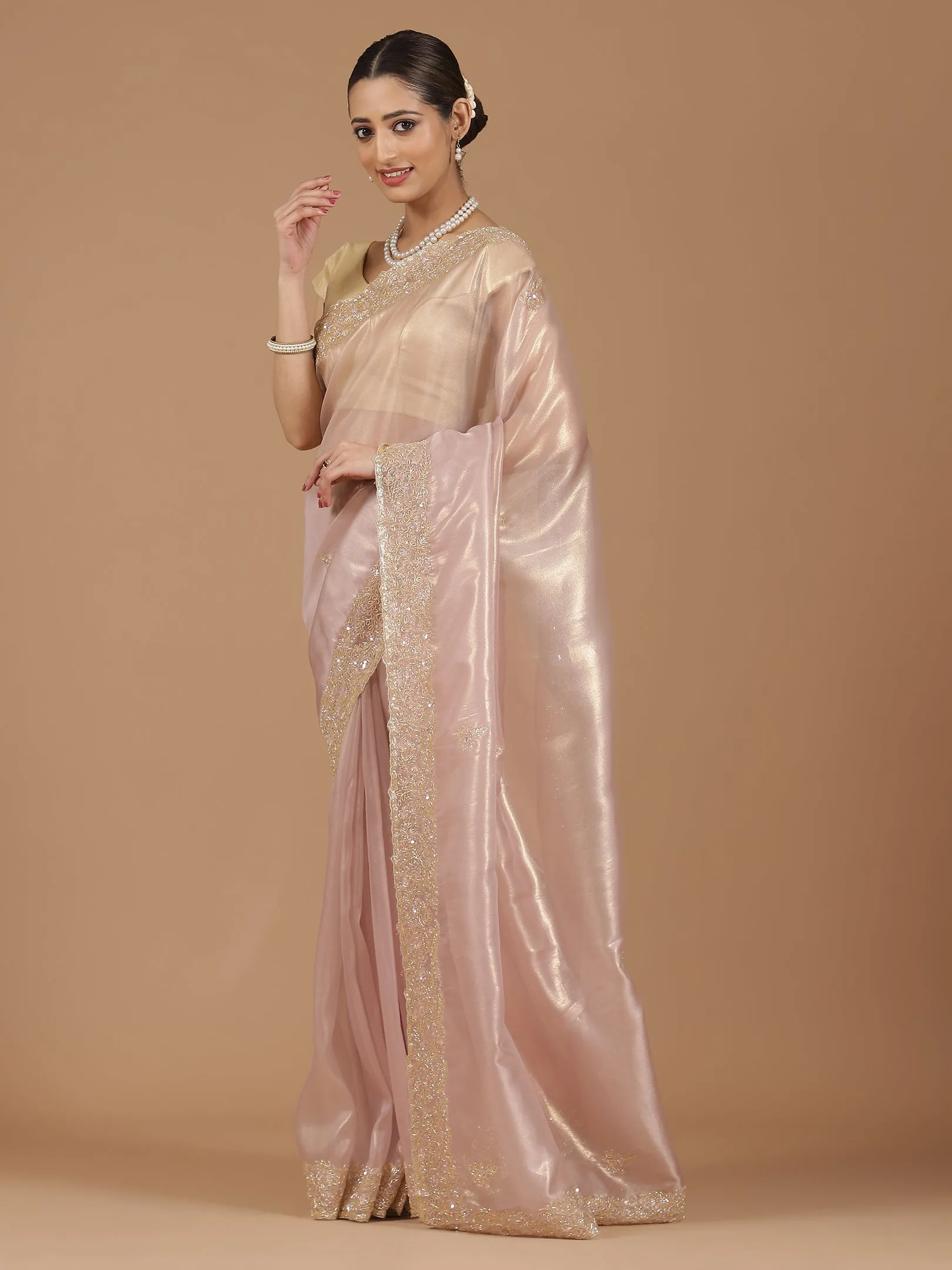 Organza Saree with Embroidered Border