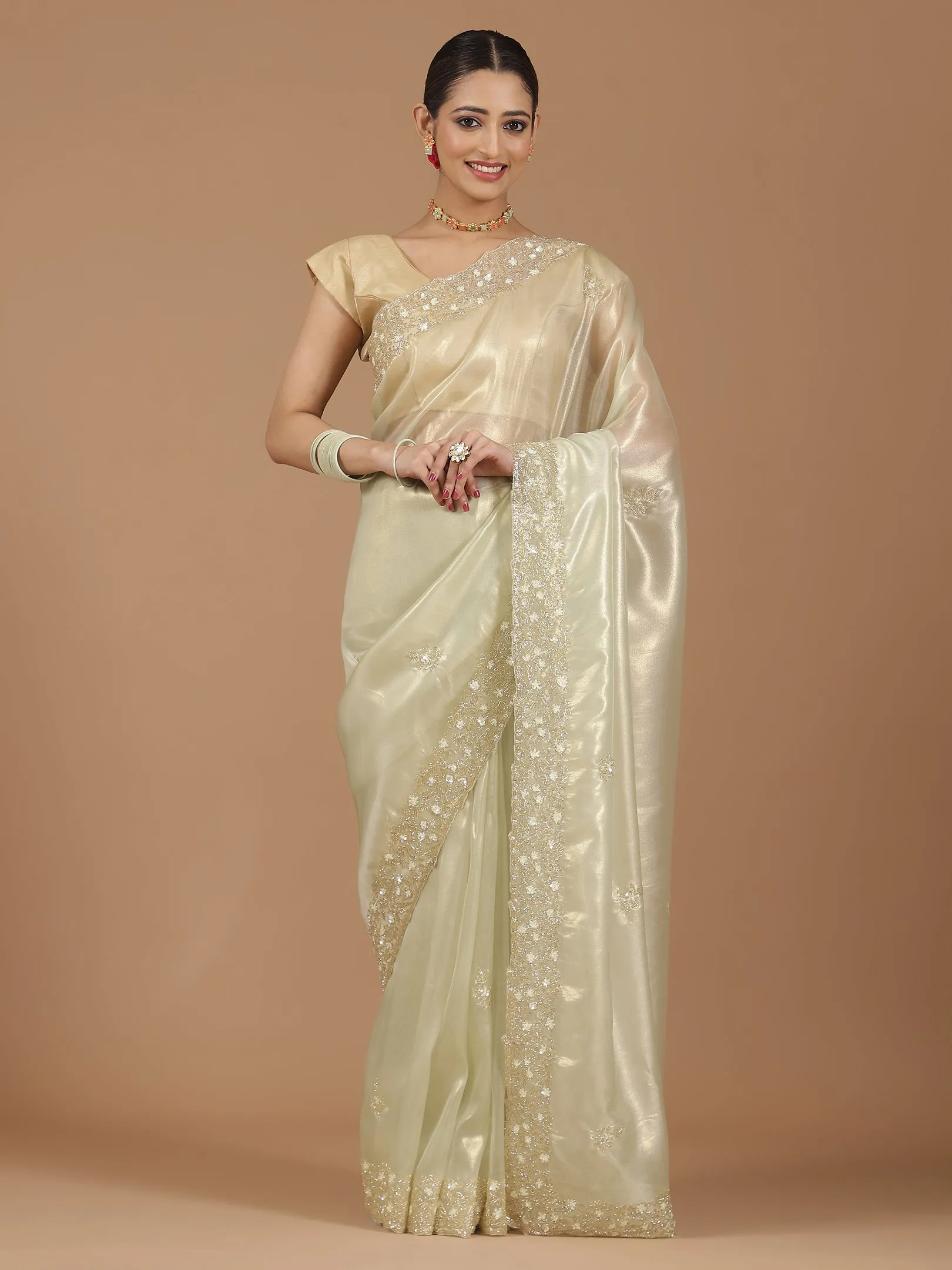 Organza Saree with Embroidered Border