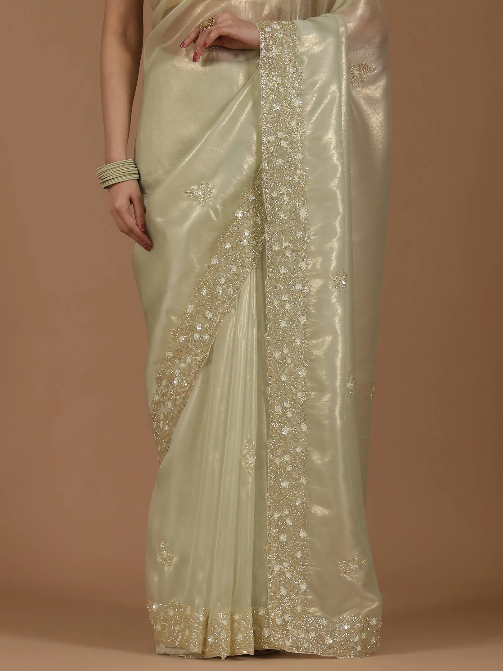Organza Saree with Embroidered Border