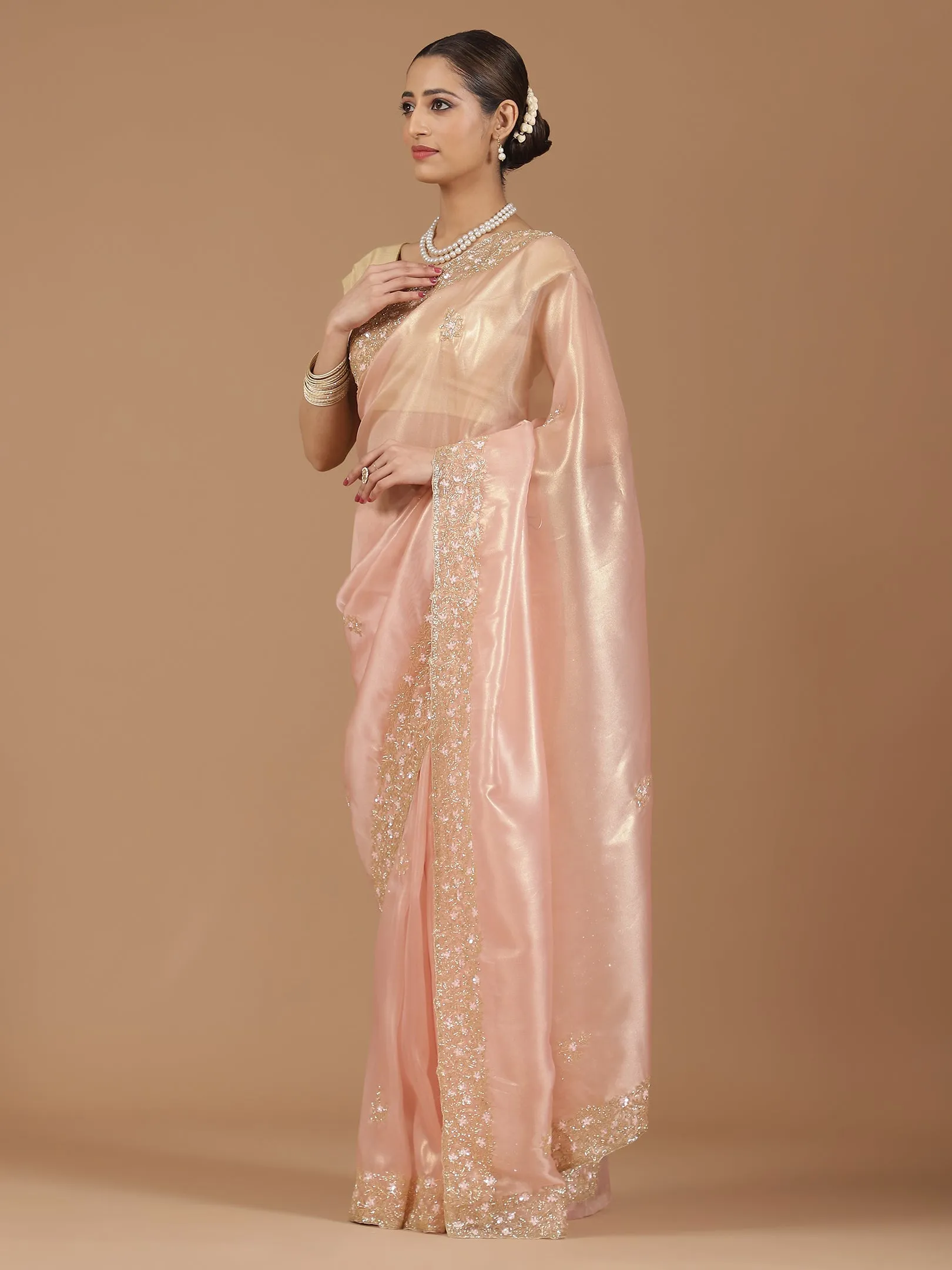 Organza Saree with Embroidered Border